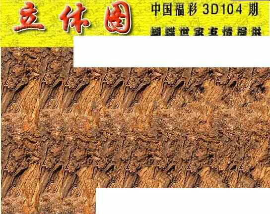 24104期: 3D蝴蝶世家蝴蝶彩图