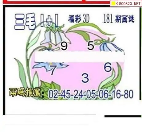 25181期: 三毛3D精品图谜