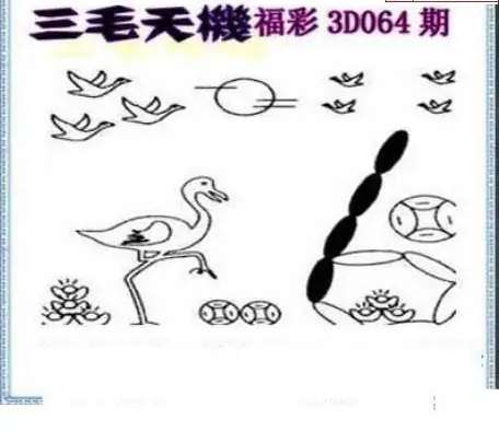 25064期: 三毛3D精品图谜