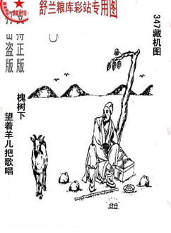 25347期: 老村长福彩3D天天图谜