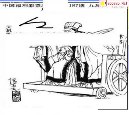 25187期: 三毛3D精品图谜