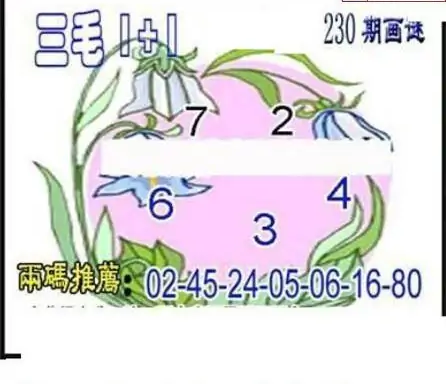 25230期: 三毛3D精品图谜