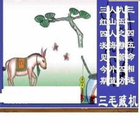 24094期: 三毛3D精品图谜