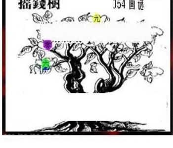 26054期: 三毛3D精品图谜