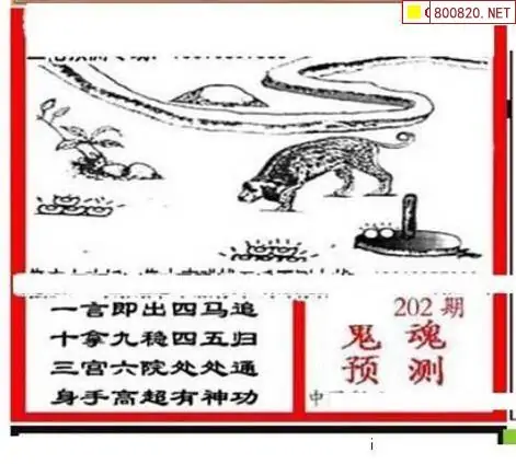 25202期: 三毛3D精品图谜