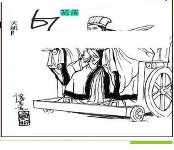 25332期: 三毛3D精品图谜