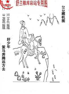 25313期: 老村长福彩3D天天图谜