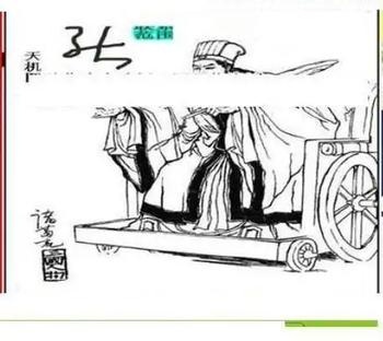 25330期: 三毛3D精品图谜