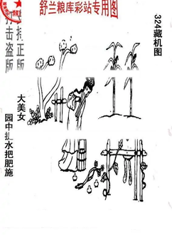 25324期: 老村长福彩3D天天图谜