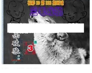 25323期: 三毛3D精品图谜