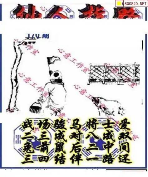 25170期: 三毛3D精品图谜