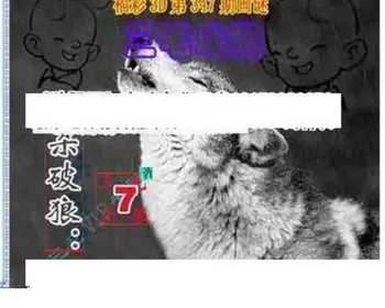 25347期: 三毛3D精品图谜