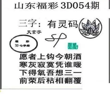 26054期: 三毛3D精品图谜