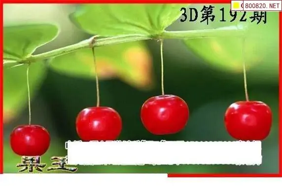 25192��: ����3Dɱ��ͼ��