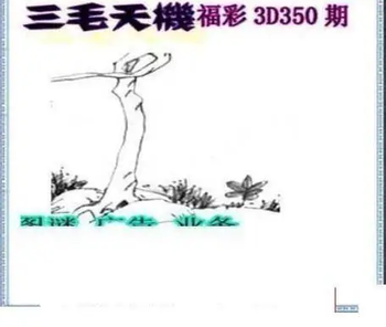 25350期: 三毛3D精品图谜