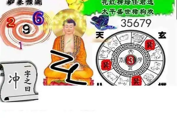 25309期: 白老3D杀码图版