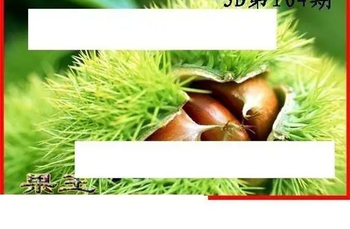 26104期: 白老3D杀码图版