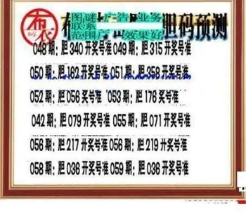 26059期: 三毛3D精品图谜