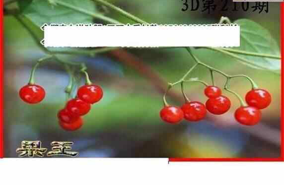 24210��: ����3Dɱ��ͼ��