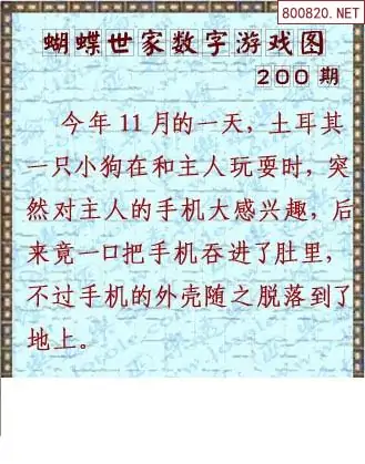 25200期: 3D蝴蝶世家蝴蝶彩图