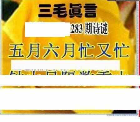 24283期: 三毛3D精品图谜