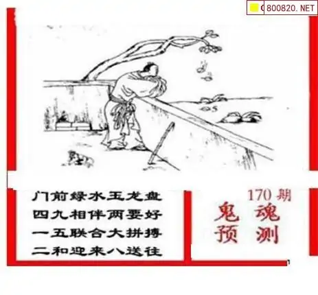 25170期: 三毛3D精品图谜