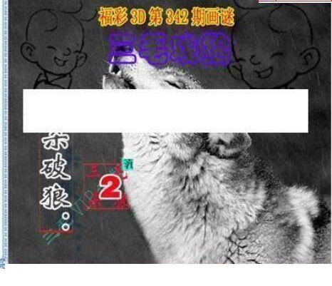 24342期: 三毛3D精品图谜