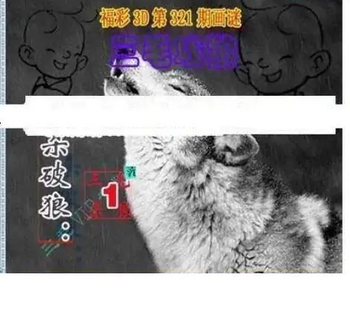 25321期: 三毛3D精品图谜