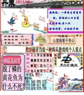 25338期: 福彩3D丹东全图分析