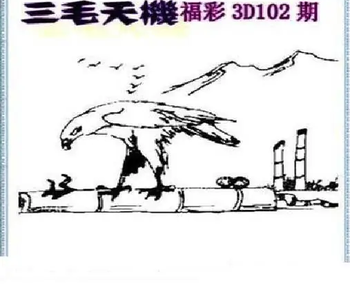 26102期: 三毛3D精品图谜