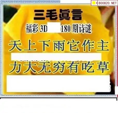 25180期: 三毛3D精品图谜