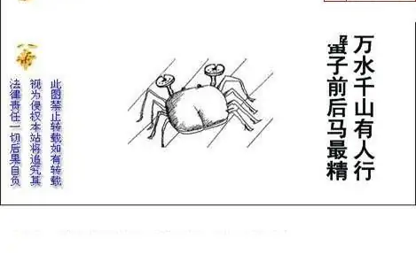 25289期: 白老3D杀码图版