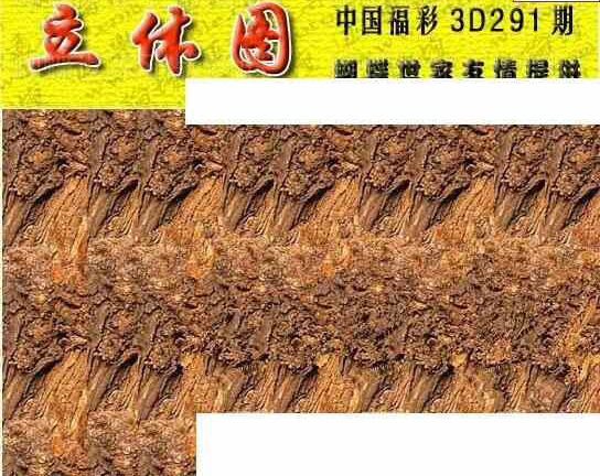 24291期: 3D蝴蝶世家蝴蝶彩图