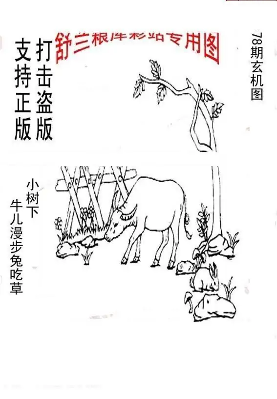 25078期: 老村长福彩3D天天图谜