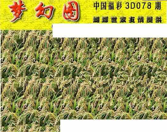 24078期: 3D蝴蝶世家蝴蝶彩图