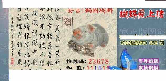 24186期: 3D蝴蝶世家蝴蝶彩图