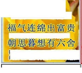 26093期: 三毛3D精品图谜