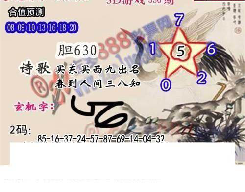 24336期: 白老3D杀码图版