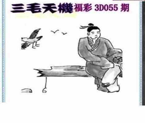 25055期: 三毛3D精品图谜
