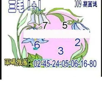 26009期: 三毛3D精品图谜