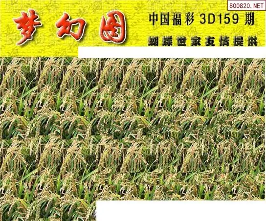 25159期: 3D蝴蝶世家蝴蝶彩图