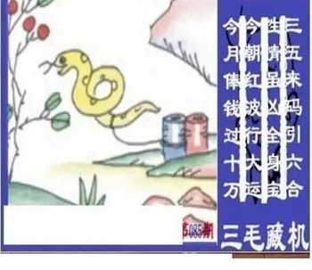 26085期: 三毛3D精品图谜