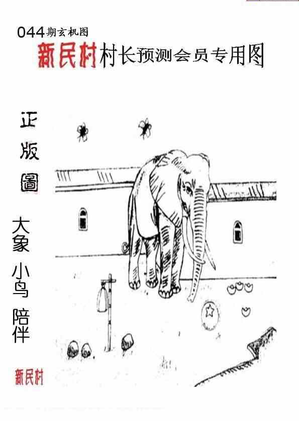 25044期: 老村长福彩3D天天图谜