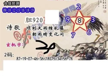 26050期: 白老3D杀码图版
