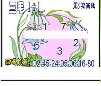 25308期: 三毛3D精品图谜