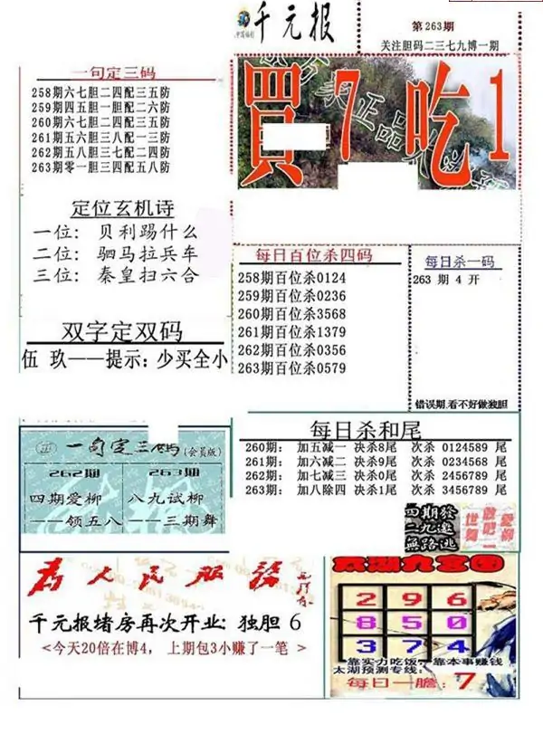 25263期: 福彩3D全套图版参考