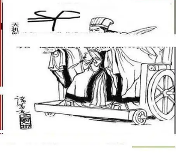 26012期: 三毛3D精品图谜