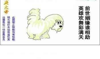 26091期: 白老3D杀码图版