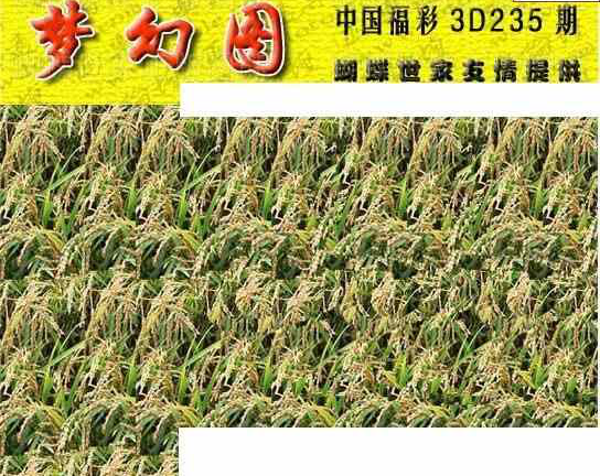 24235期: 3D蝴蝶世家蝴蝶彩图