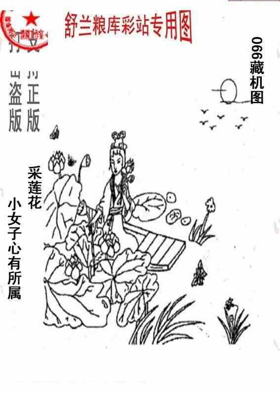 24066期: 老村长福彩3D天天图谜